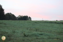 IMG_8267