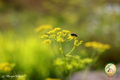 13-IMG_4301
