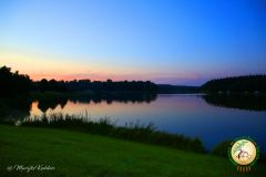 IMG_8761