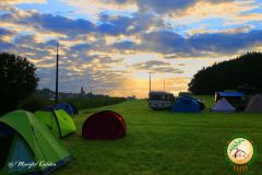 2.-IMG_3884