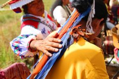 IMG_9981