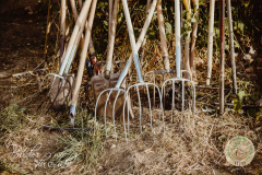 Kiva_2022-168