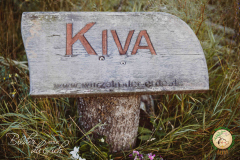 Kiva_2024__158_von_334_